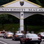 Cat Deaths at UM: Lecturer and Students Investigated