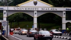 Cat Deaths at UM: Lecturer and Students Investigated