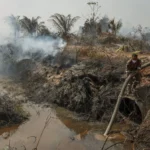 Authorities Consider Cloud Seeding to Battle Kuantan Peatland Fire