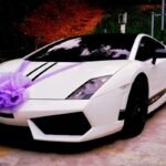 The Social and Practical Value of a Wedding Luxury Car Rental