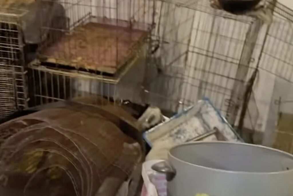 abandoned vet clinic