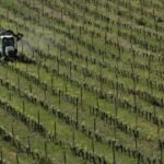 Over €1 Billion in France Farmer Aid Announced as Summer Crop Losses Surpass €10 Billion